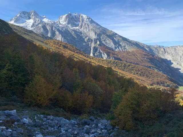 Cumbres De Los Picos Apartamento La Yedra Poo  Екстериор снимка